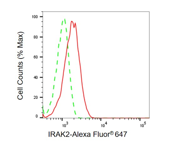 IRAK2 Antibody (24GB5805)