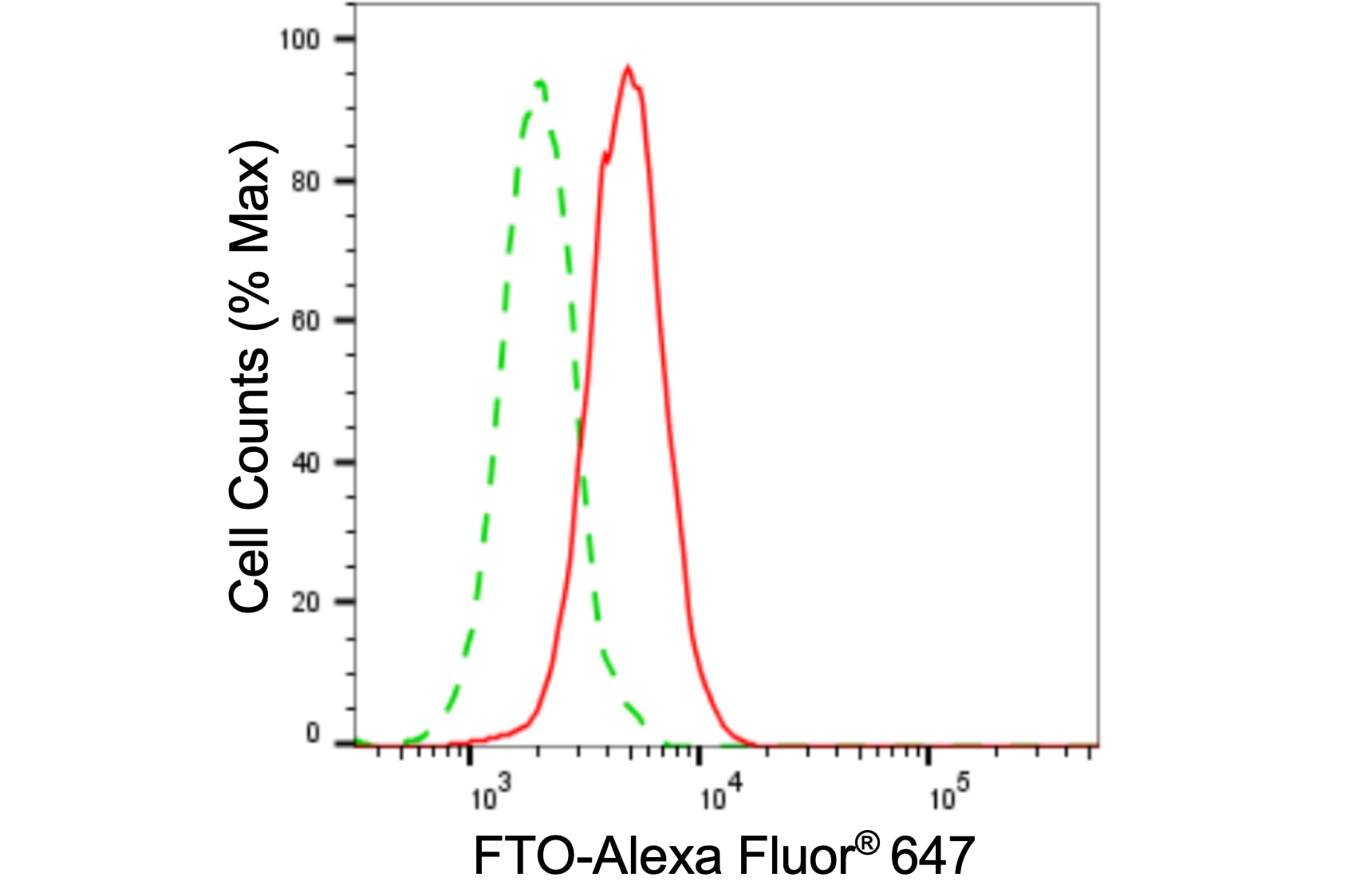 FTO Antibody (24GB5860)