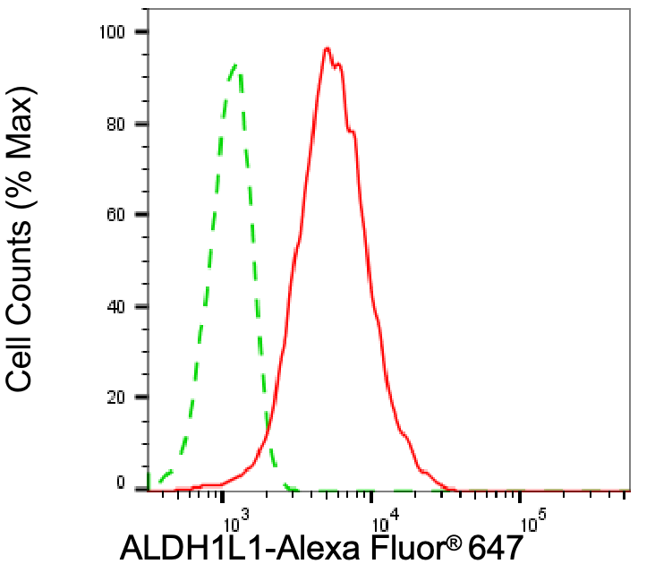ALDH1L1 Antibody (24GB6265)