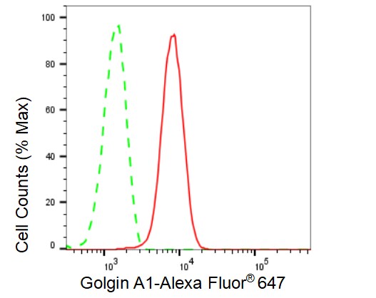 Golgin 97 Antibody (23GB1800)
