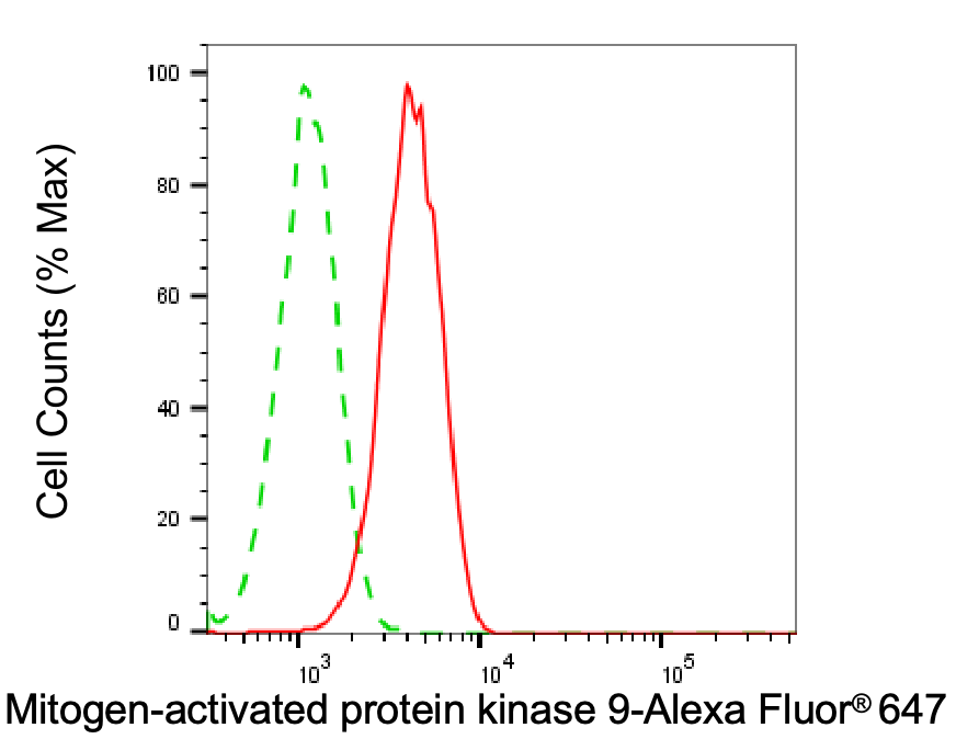 JNK2 Antibody (24GB6515)