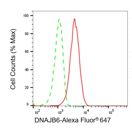 DNAJB6 Antibody (24GB6630)