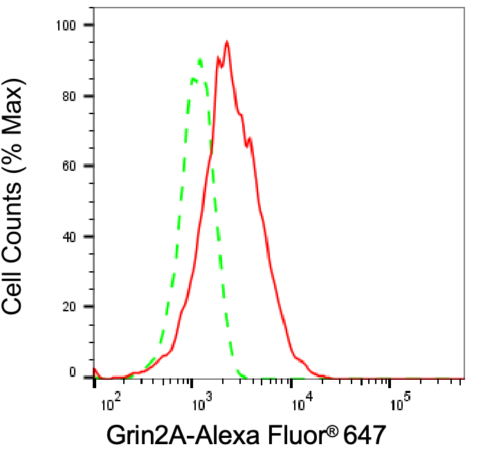 NMDAR2A Antibody (24GB6905)