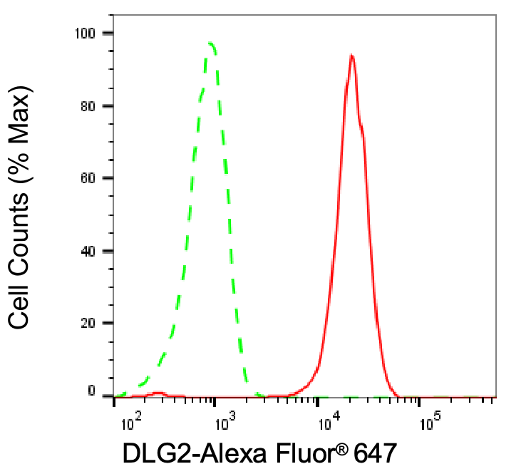 PSD93 Antibody (24GB6970)