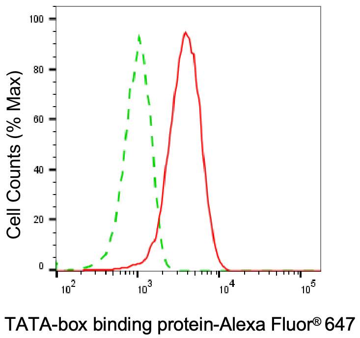 TATA binding protein TBP Antibody (24GB7015)