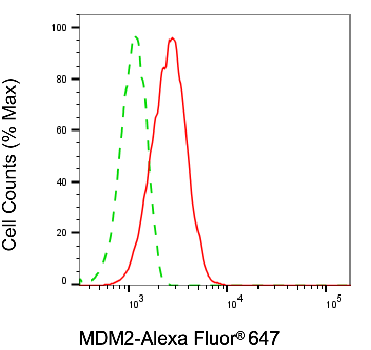 MDM2/HDM2 Antibody (24GB7055)