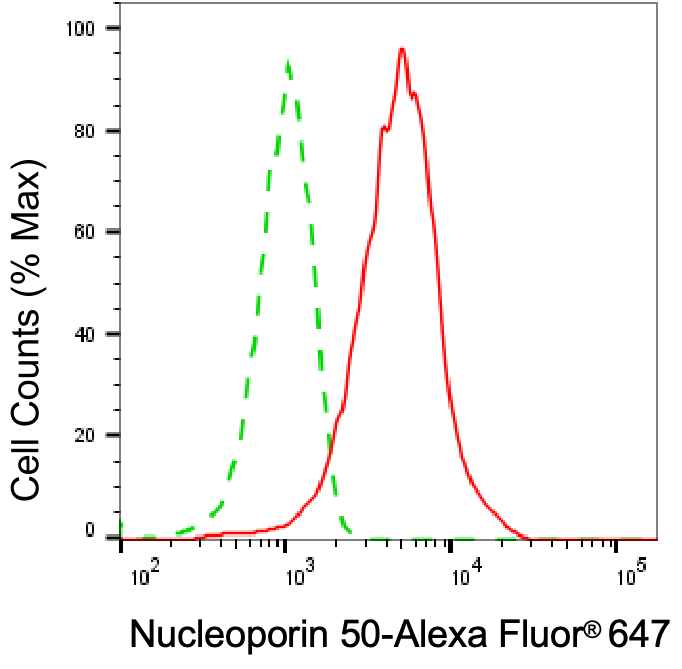 NUP50 Antibody (24GB7240)