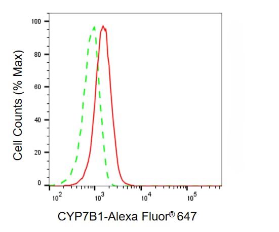 CYP7B1 Antibody (24GB8275)
