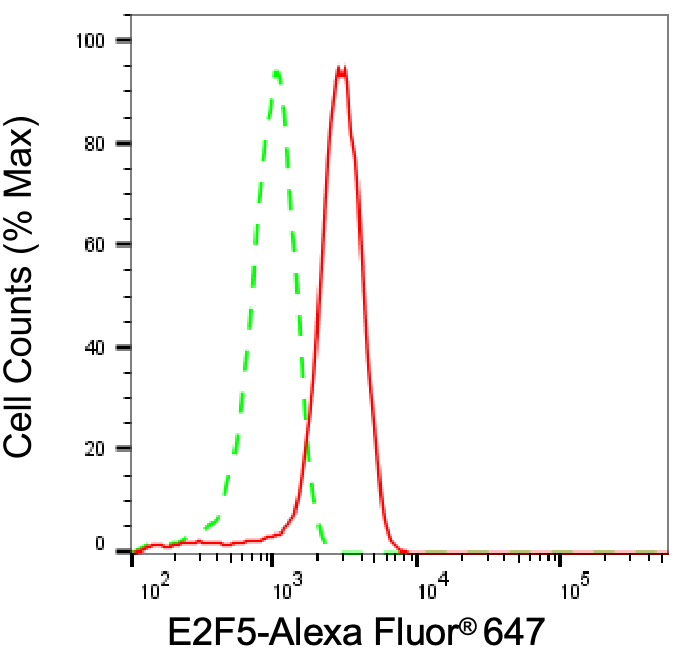 E2F5 Antibody (24GB8325)