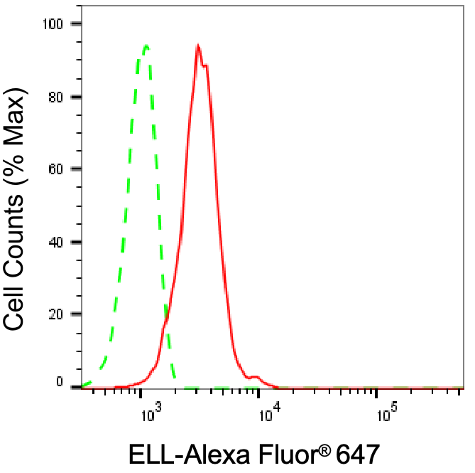 ELL Antibody (24GB8330)