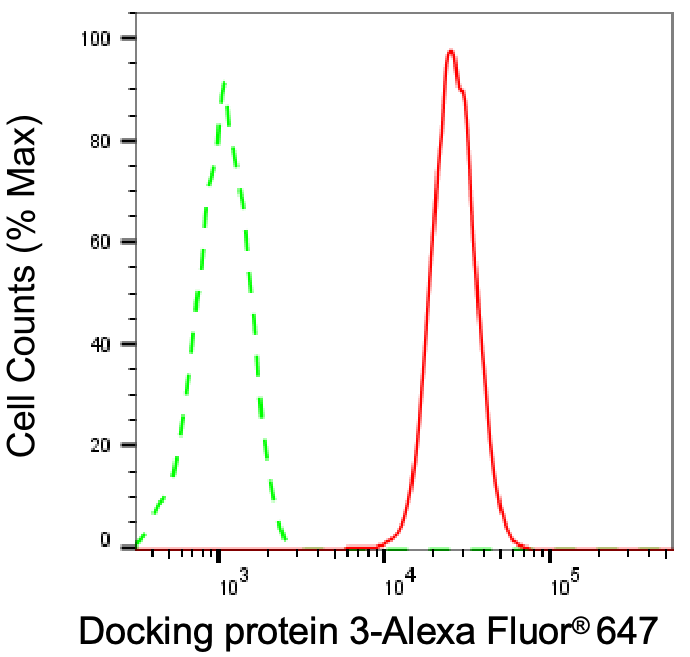 DOK3 Antibody (24GB8360)