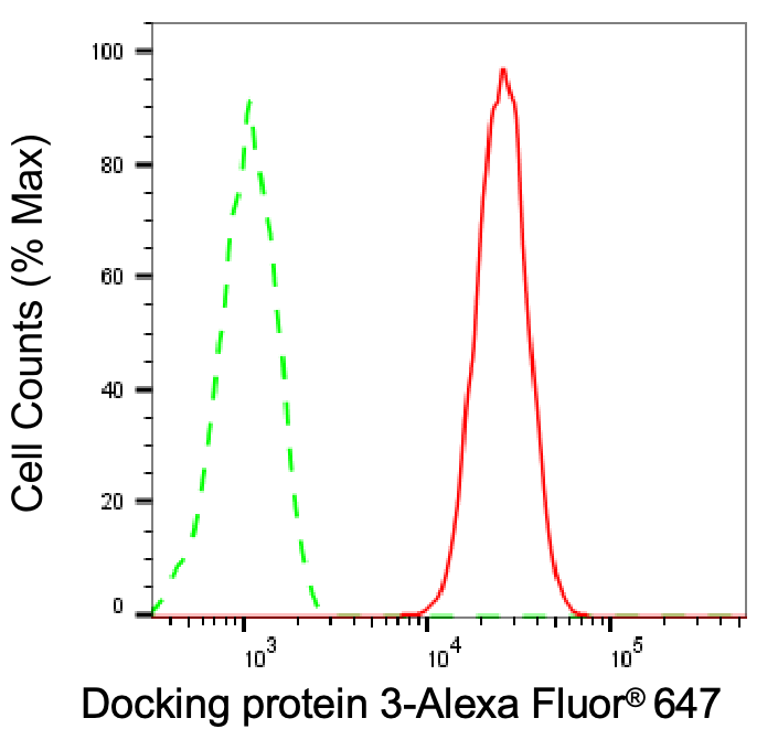 DOK3 Antibody (24GB8365)