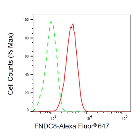 FNDC8 Antibody (24GB13095)
