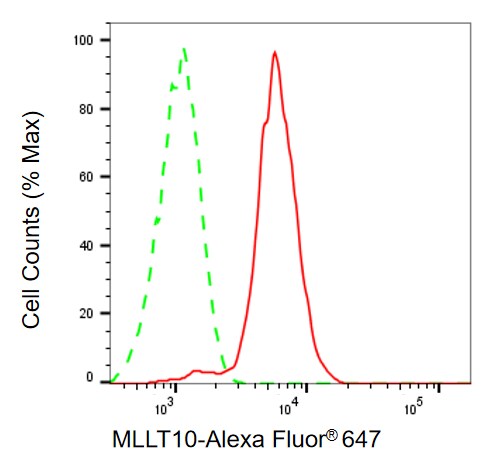 AF10 Antibody (24GB13590)