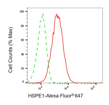 HSP10/EPF Antibody (24GB13610)
