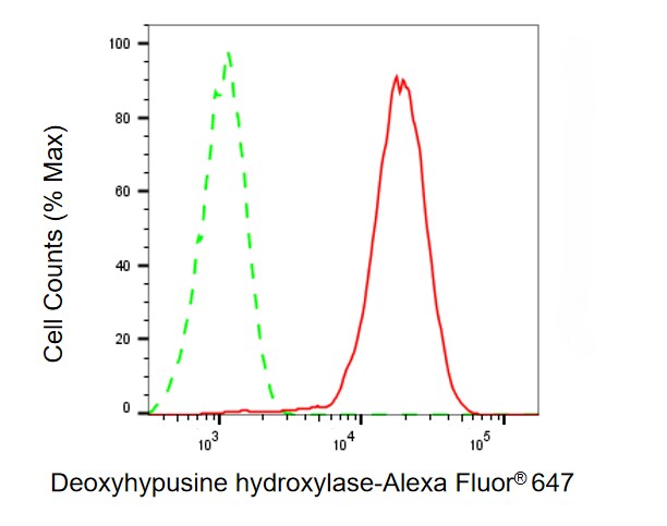 HLRC1 Antibody (24GB13620)