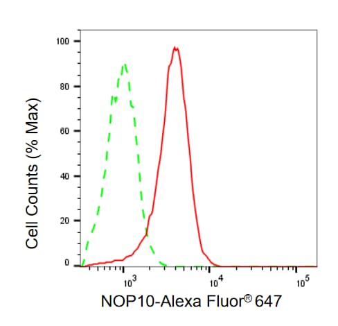 NOP10 Antibody (24GB13795)