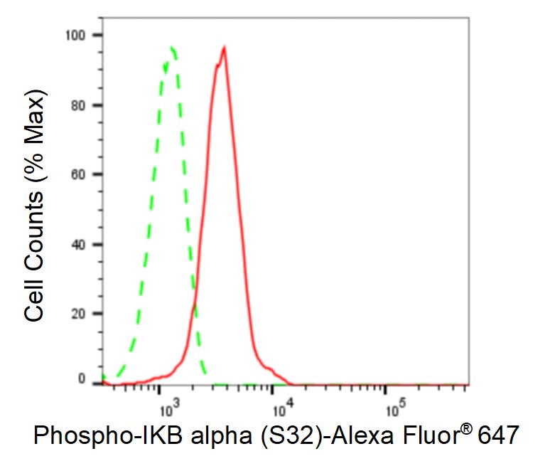 IkB-alpha [p Ser32] Antibody (23GB1140)