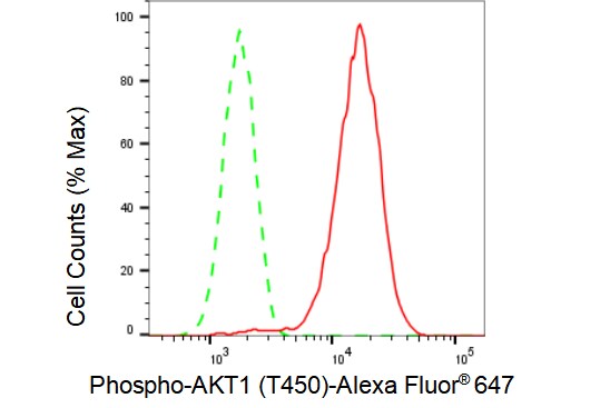 AKT1 [p Thr450] Antibody (23GB1780)
