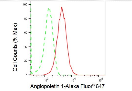 Angiopoietin-1 Antibody (23GB1775)