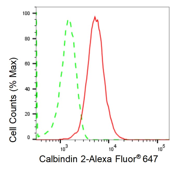 Calretinin Antibody (23GB1125)