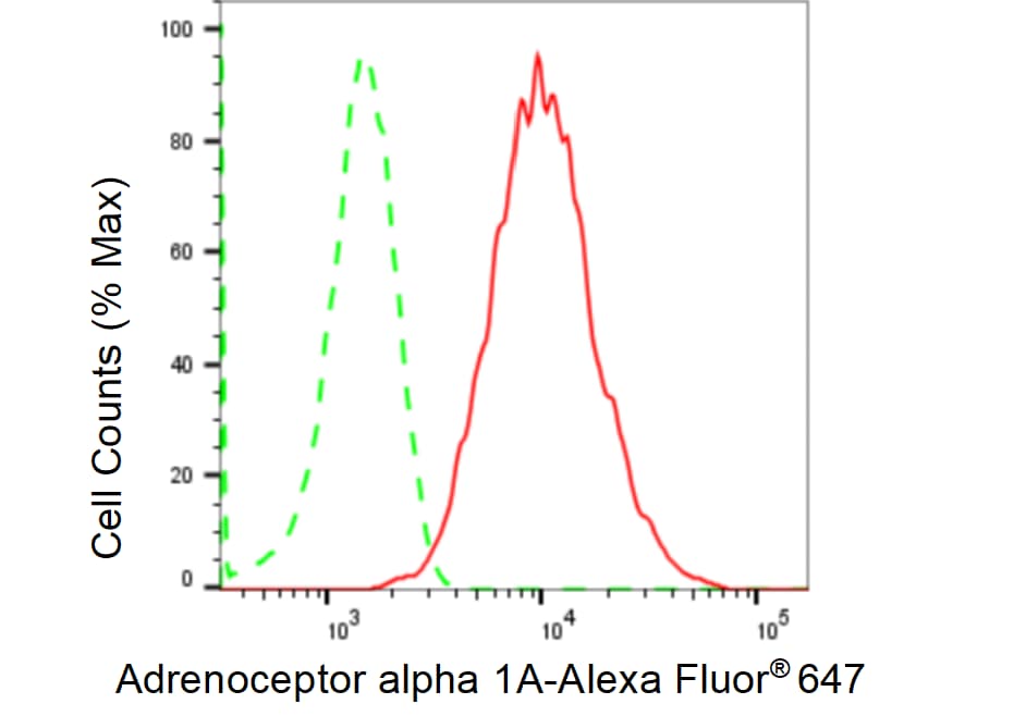 alpha-1A Adrenergic R/ADRA1A Antibody (23GB1655)