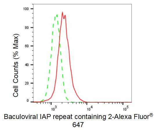 cIAP-1/HIAP-2 Antibody (23GB1740)