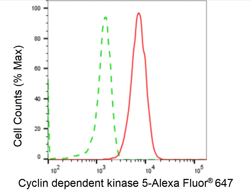 Cdk5 Antibody (24GB5895)