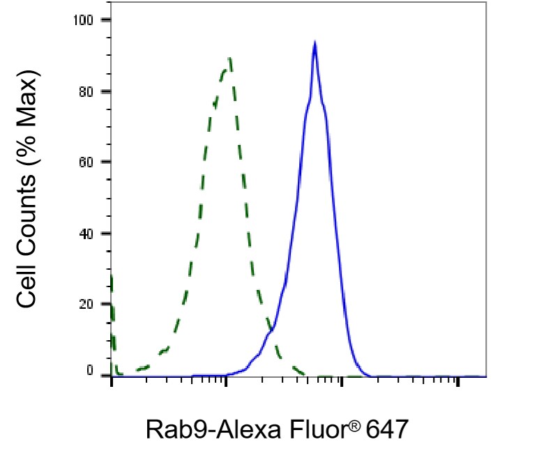 RAB9A Antibody (23GB1940)