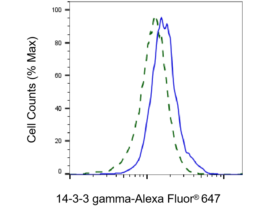 14-3-3 gamma Antibody (23GB1970)
