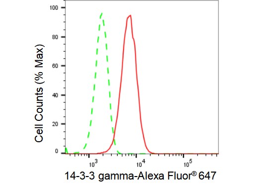 14-3-3 gamma Antibody (23GB1970)