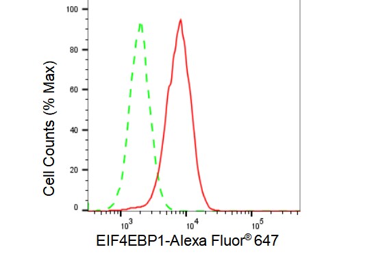 4EBP1 Antibody (23GB1985)