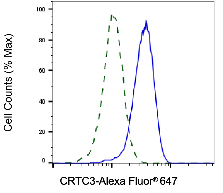 TORC3/CRTC3 Antibody (24GB5935)