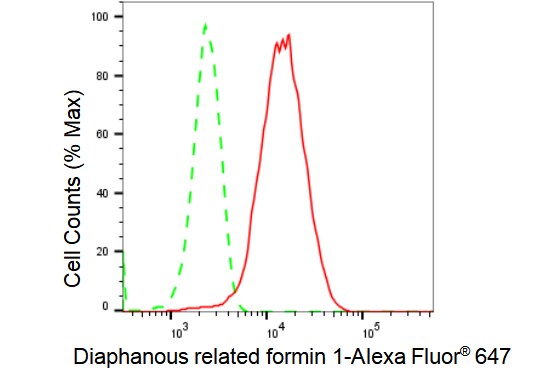 DIAPH1 Antibody (23GB1990)