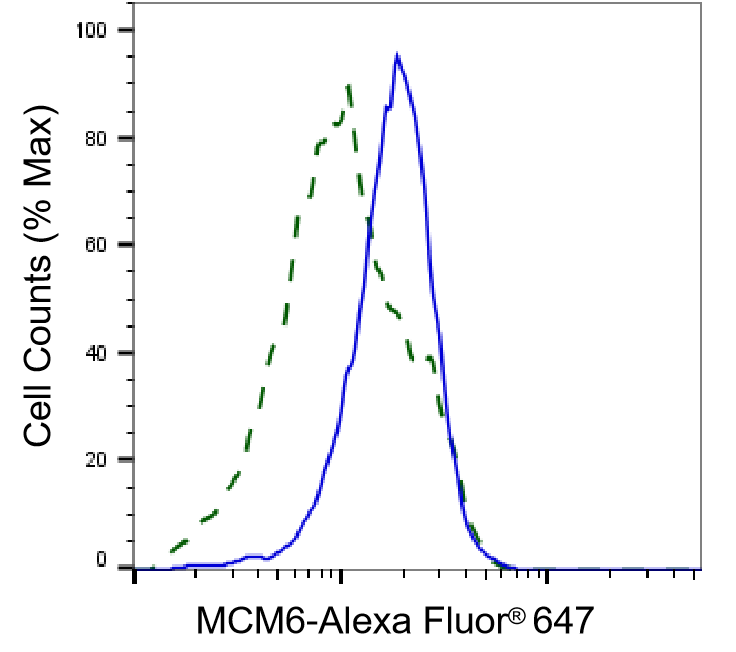 MCM6 Antibody (23GB2005)