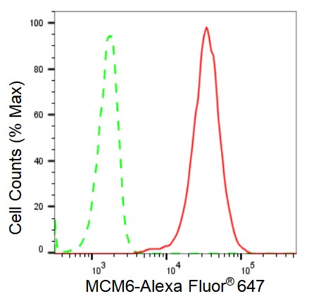 MCM6 Antibody (23GB2005)