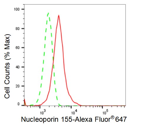 NUP155 Antibody (23GB2010)