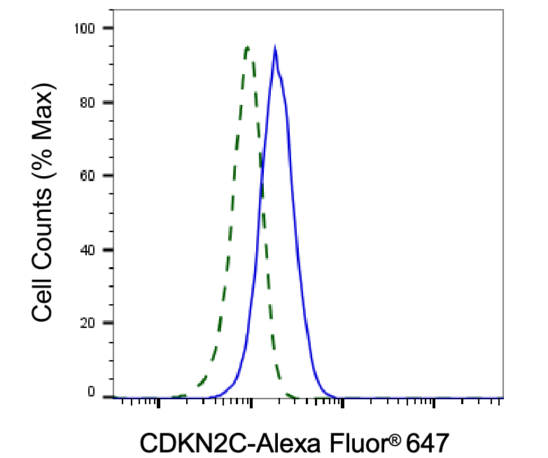 p18INK4c/CDKN2C Antibody (24GB5945)