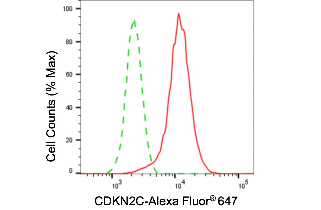 p18INK4c/CDKN2C Antibody (24GB5945)