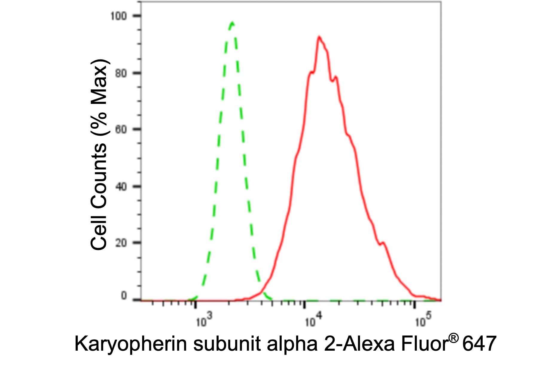 Importin alpha 2/KPNA2 Antibody (24GB5955)