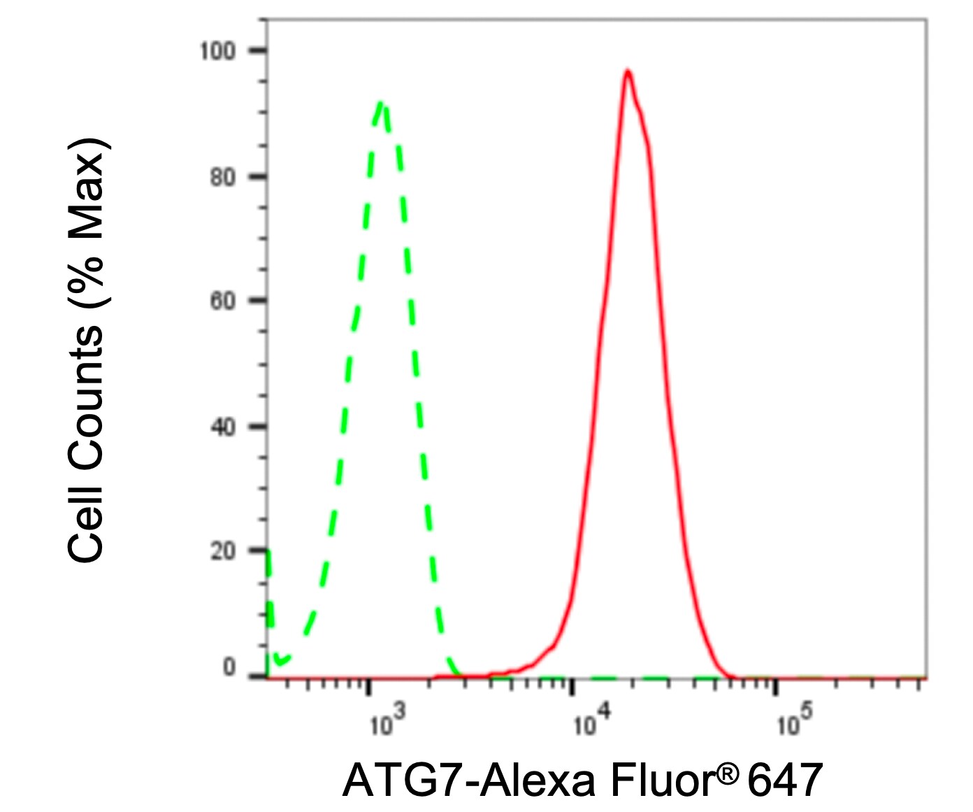 ATG7 Antibody (24GB5975)