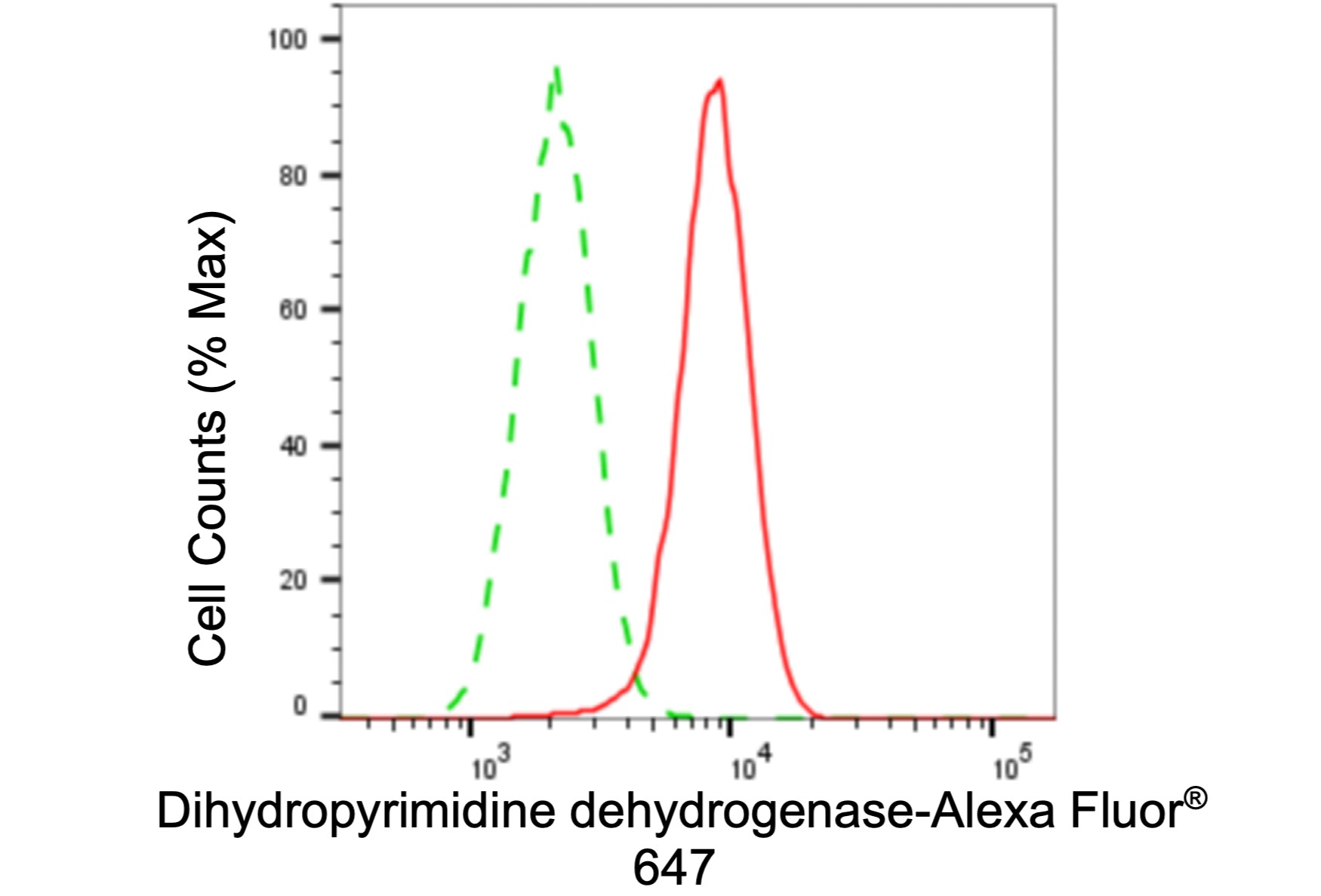 DPYD Antibody (24GB5990)