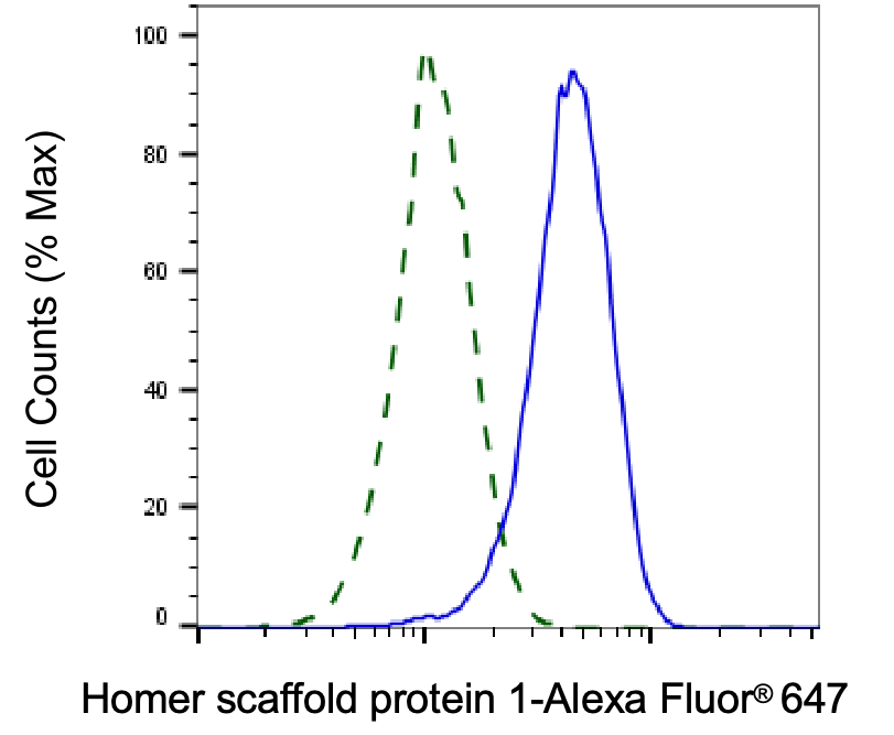 HOMER1 Antibody (24GB6005)