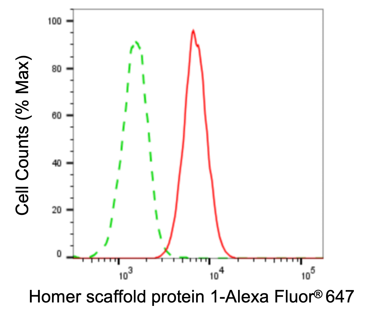 HOMER1 Antibody (24GB6005)