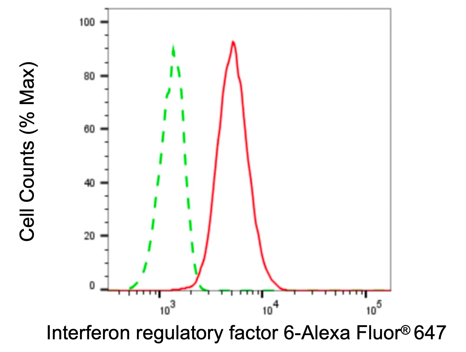 IRF6 Antibody (24GB6015)
