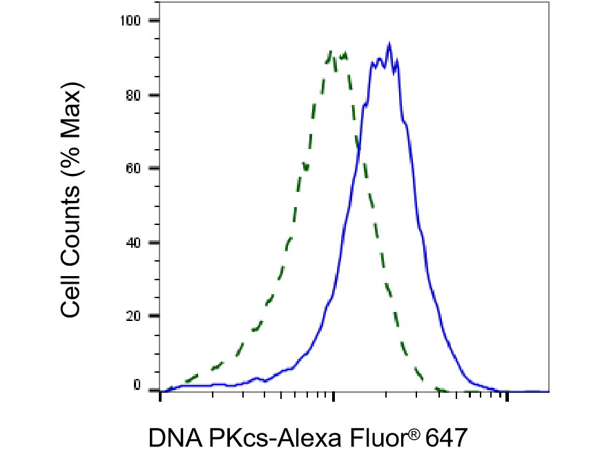 DNA-PKcs Antibody (23GB2055)