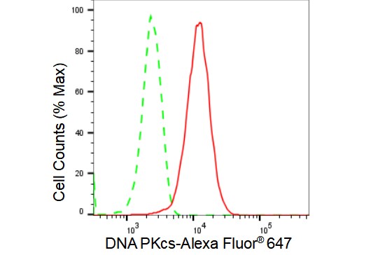 DNA-PKcs Antibody (23GB2055)