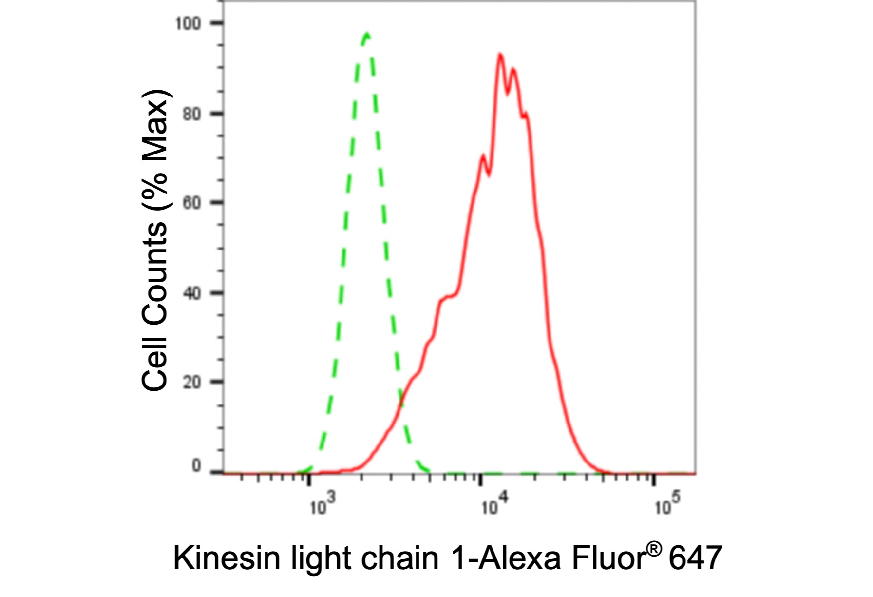 KLC1 Antibody (24GB6030)