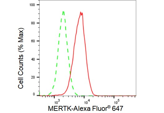 Mer Antibody (23GB2070)