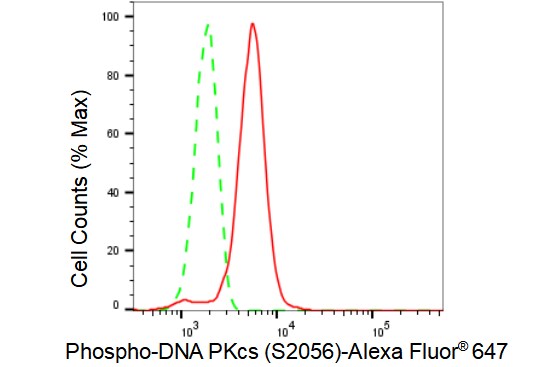 DNA-PKcs [p Ser2056] Antibody (23GB2075)